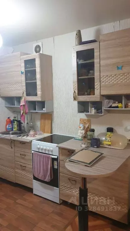 Студия Краснодарский край, Краснодар пос. Знаменский, ул. Березовая, 1 ... - Фото 2