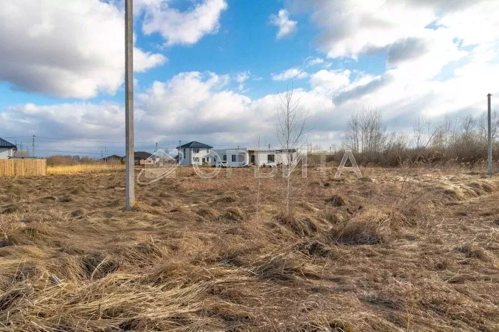 Участок в Тюменская область, Тюмень Луч СНТ, ул. Садовая, 13 (8.0 ... - Фото 2