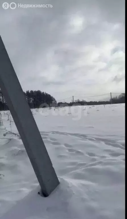 Участок в Саранск, садоводческое товарищество Лесное (9 м) - Фото 1