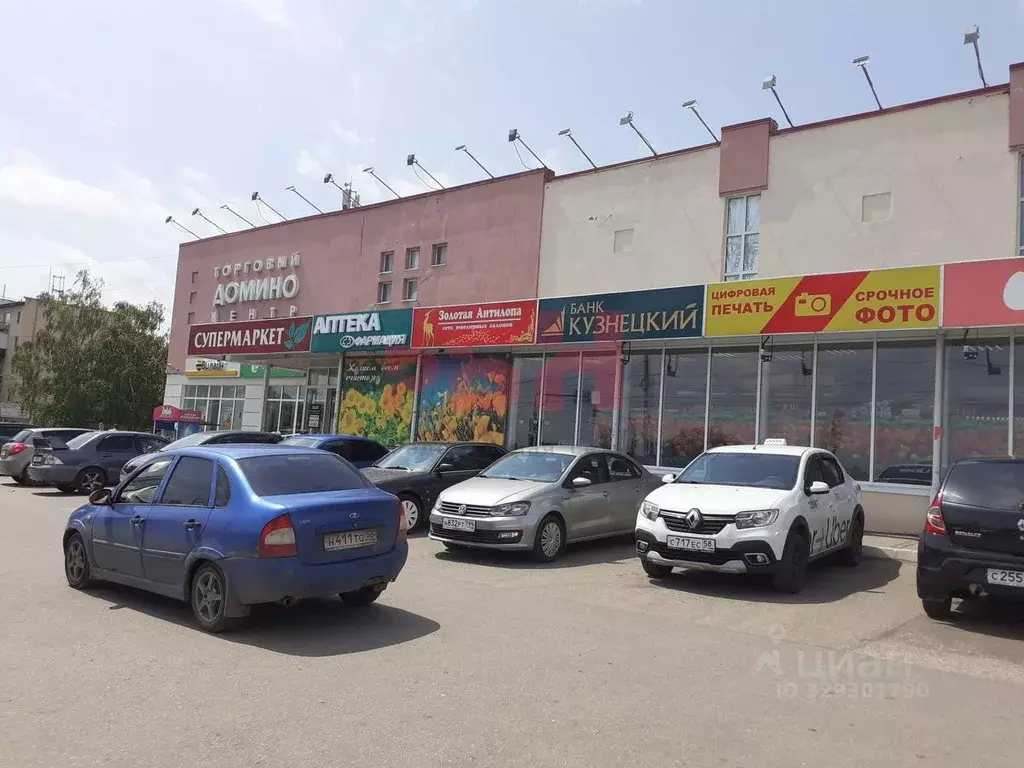 Торговая площадь в Пензенская область, Пенза ул. Аустрина (30 м) - Фото 1