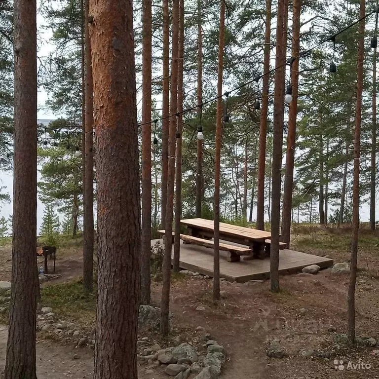 Дом в Карелия, Прионежский район, Шуйское с/пос, д. Косалма  (350 м) - Фото 0