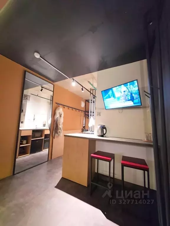 Студия Санкт-Петербург Большой Сампсониевский просп., 74к2 (17.0 м) - Фото 2