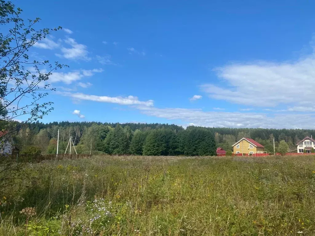Участок в Тульская область, Заокский район, Малаховское с/пос, д. ... - Фото 1