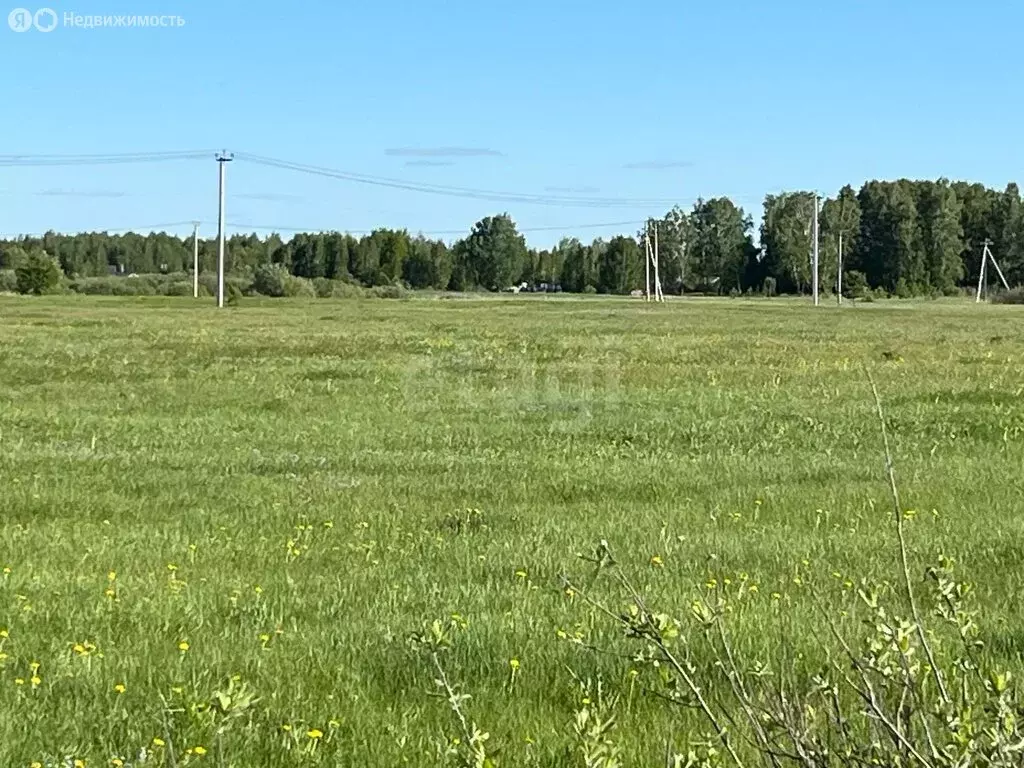 Участок в Тюмень, Ленинский округ (80 м) - Фото 1