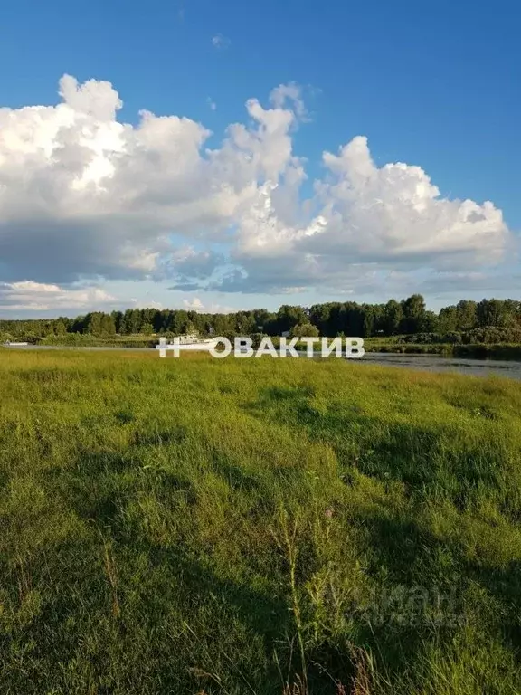 Участок в Новосибирская область, Ордынский район, Шараповское ДНТ ул. ... - Фото 0