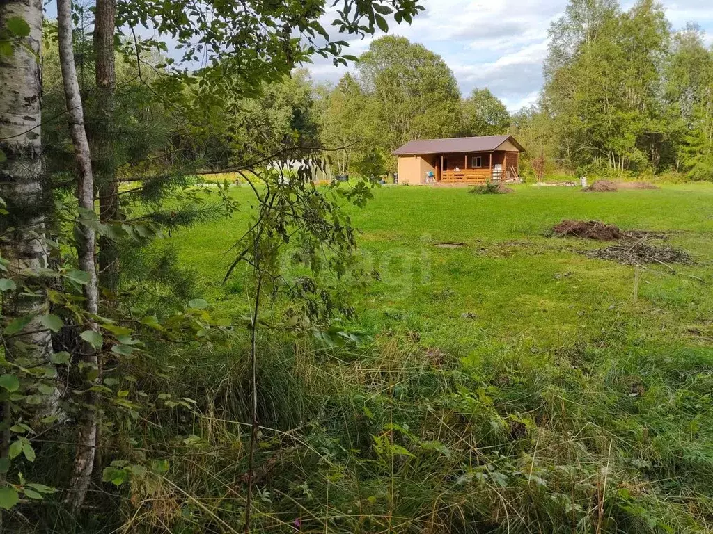 Участок в Ленинградская область, Волосовский район, Сабское с/пос, д. ... - Фото 1