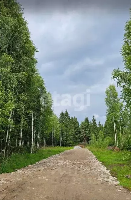 Дом в Пермский край, Краснокамский муниципальный округ, пос. Ласьва ... - Фото 2