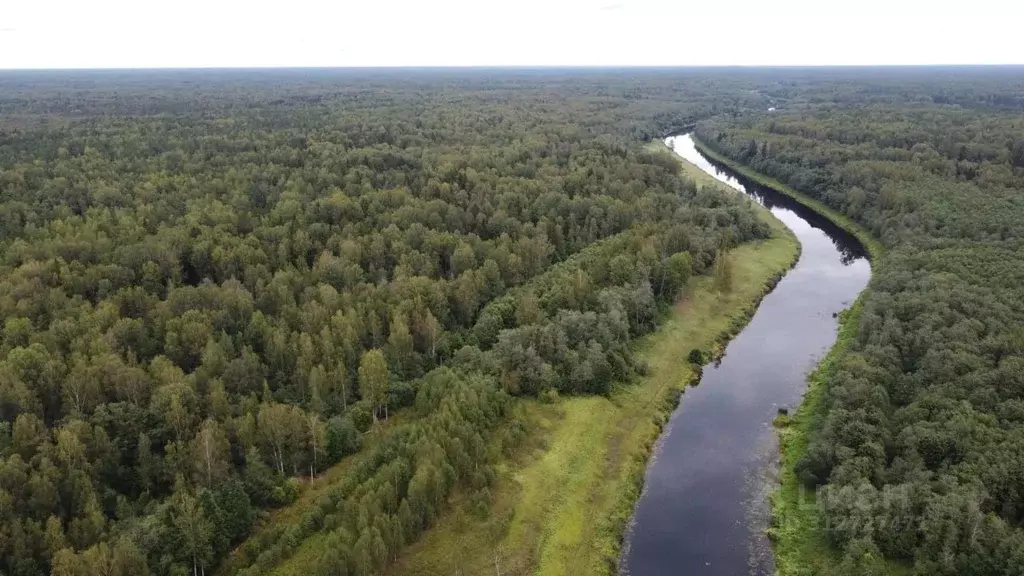 Участок в Псковская область, Порховский муниципальный округ, д. ... - Фото 0