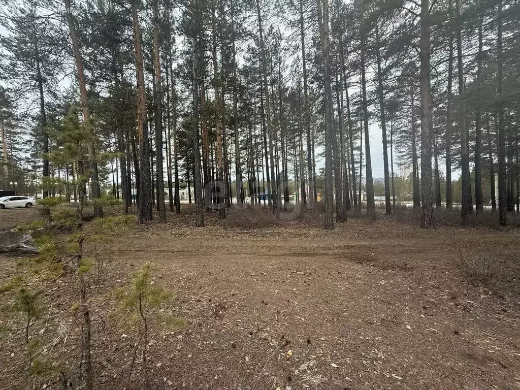 Участок в Читинский район, городское поселение Атамановское, КП ... - Фото 1