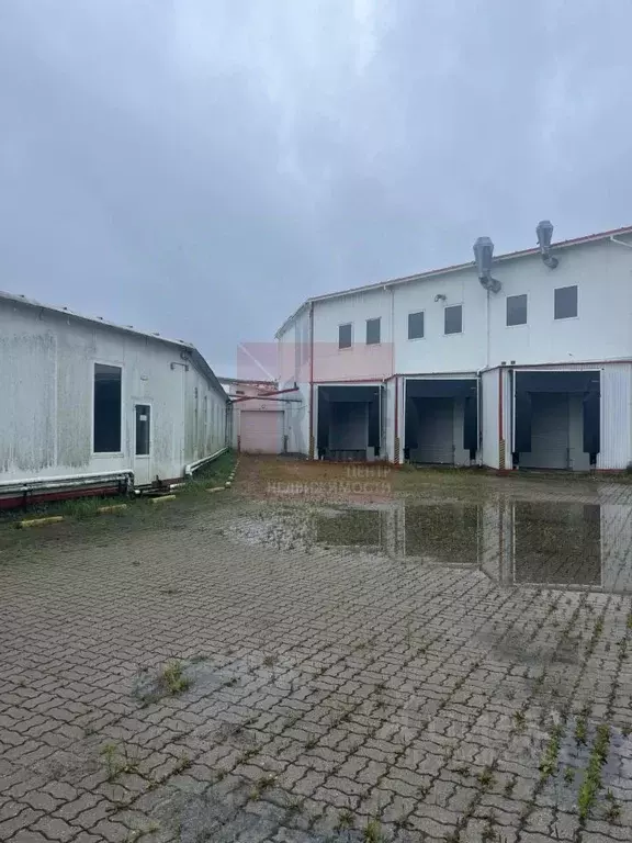 Производственное помещение в Калининградская область, Светлый ... - Фото 1