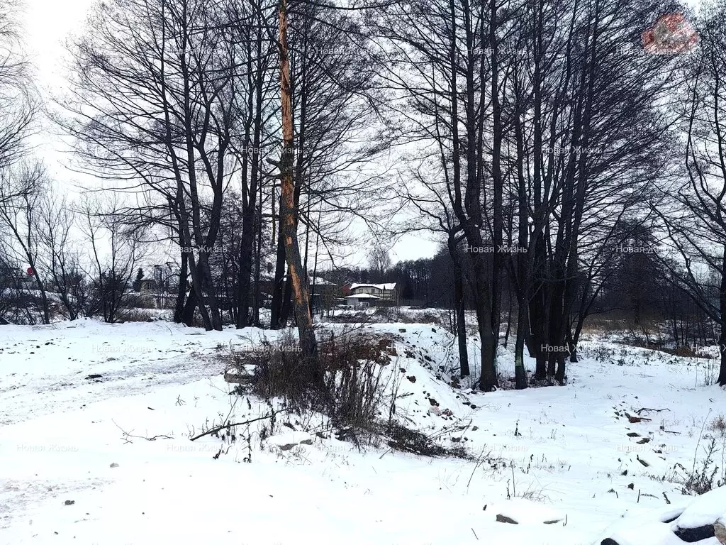 Участок в Ленинский городской округ, сельское поселение Развилковское ... - Фото 1