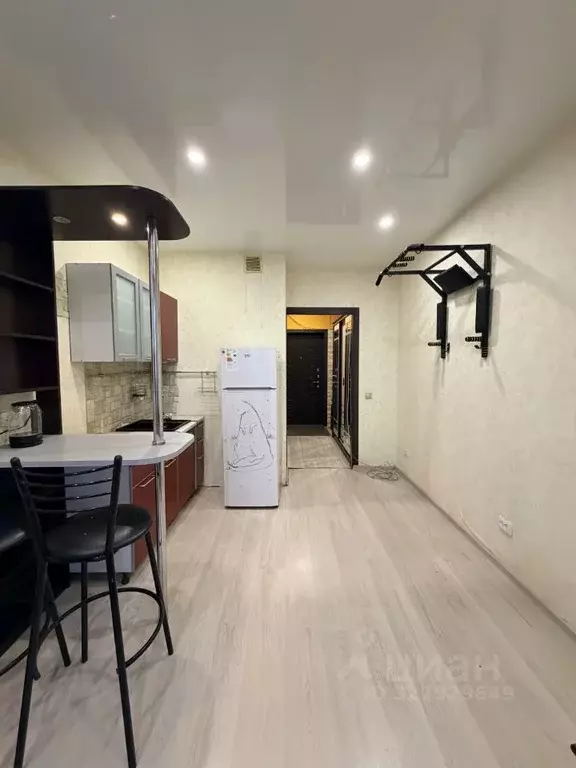 Студия Санкт-Петербург пос. Шушары, пер. Вилеровский, 6 (23.5 м) - Фото 2