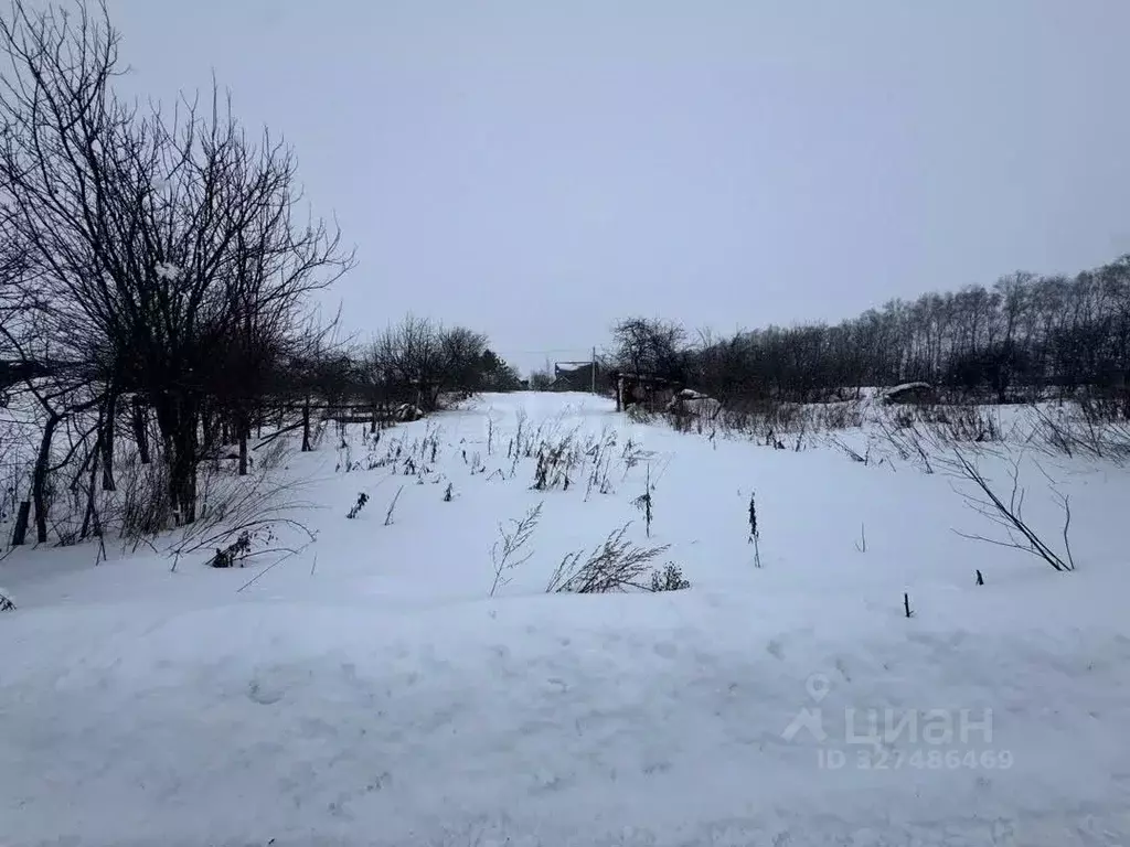 Участок в Брянская область, Выгоничский район, Кокинское с/пос, с. ... - Фото 2