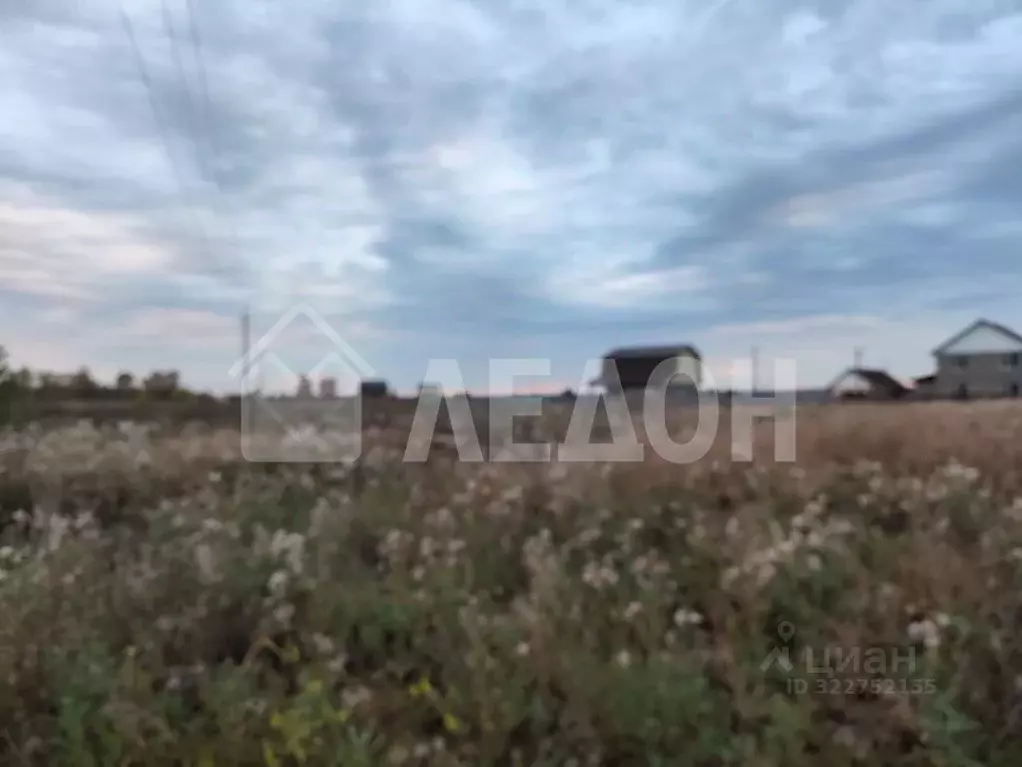 Участок в Омская область, Омский район, Надеждинское с/пос, д. ... - Фото 2