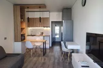 1-к кв. Санкт-Петербург Дальневосточный просп., 19к1 (25.0 м) - Фото 1