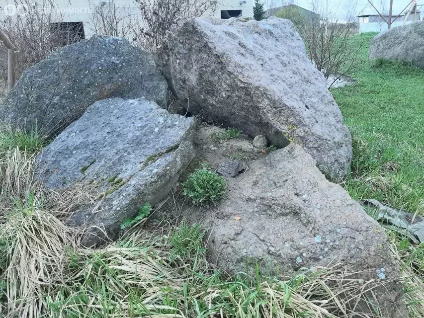 Участок в Оржицкое сельское поселение, коттеджный посёлок Имение ... - Фото 1