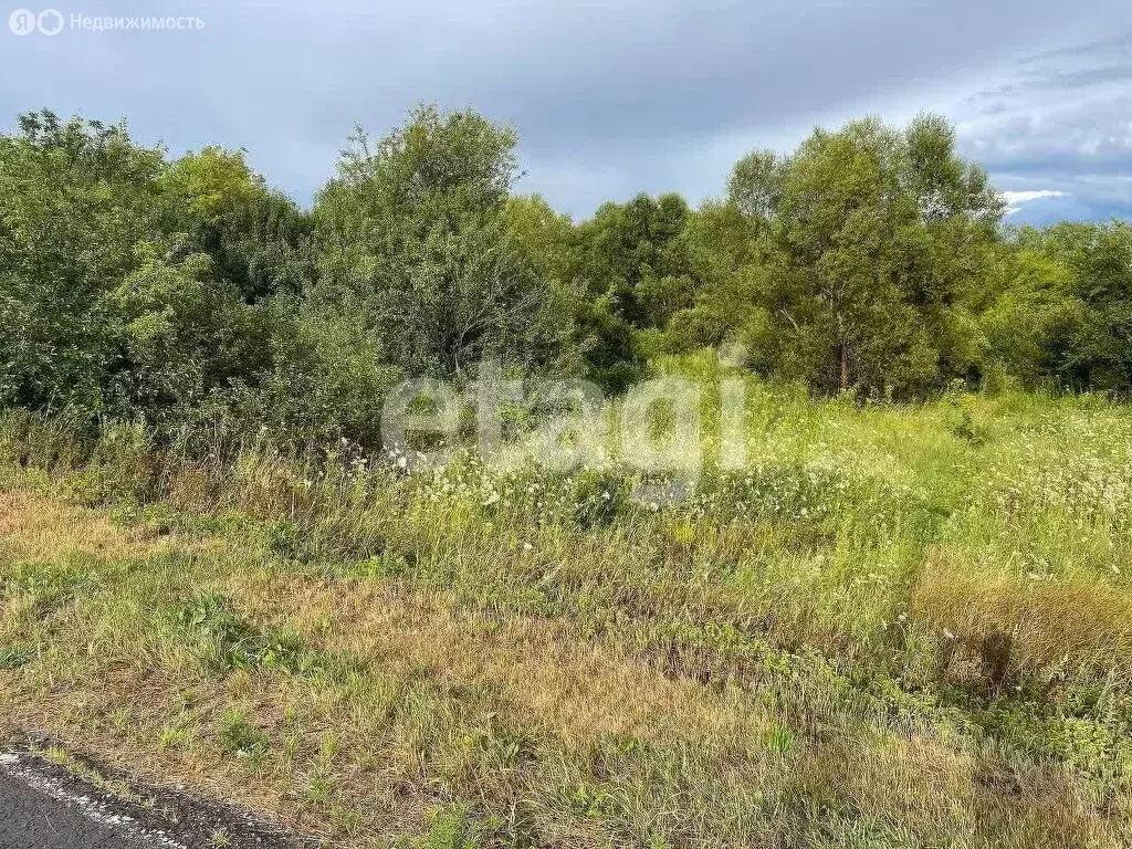 Участок в Ближнее Чесночное, Подгорная улица (30 м) - Фото 1