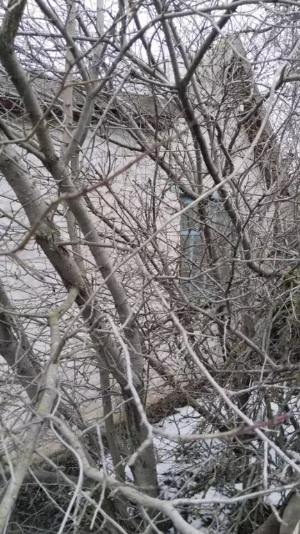 Дом в Волгоградская область, Волжский Цветущий сад СНТ, ул. ... - Фото 1