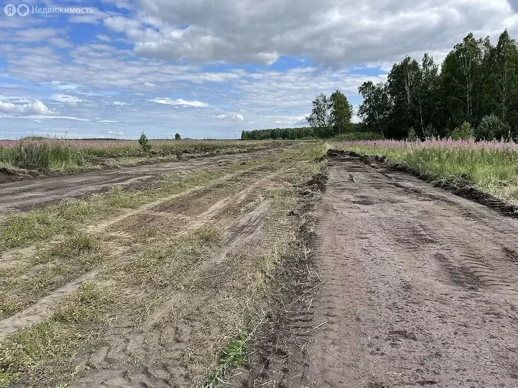 Участок в Тюменский муниципальный округ, село Каменка (10 м) - Фото 0