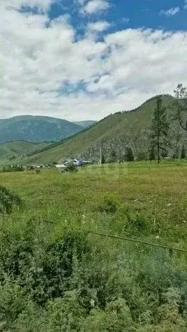 Участок в Алтай, Усть-Коксинский район, с. Баштала  (10.0 сот.) - Фото 0