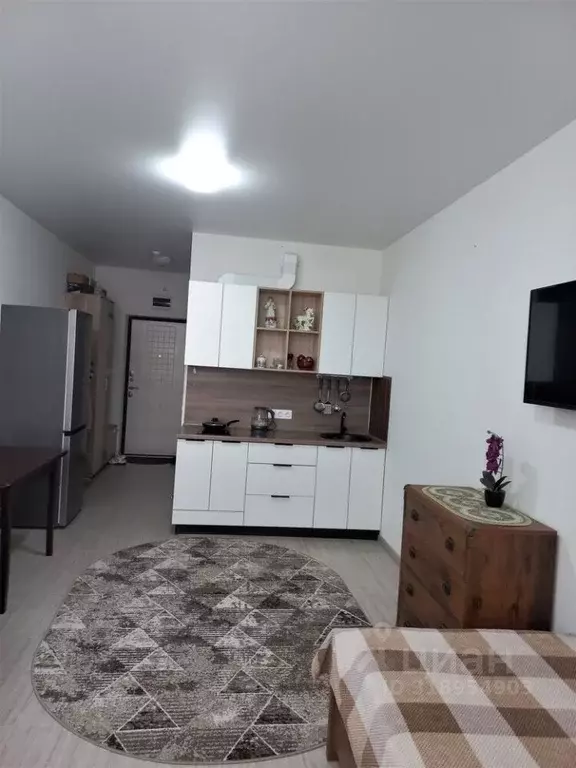 Студия Краснодарский край, Анапа ш. Супсехское, 39к16 (28.0 м) - Фото 1