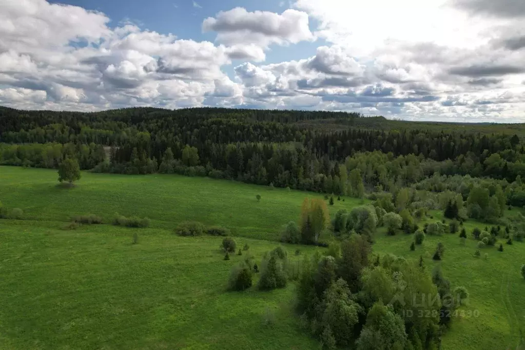 Участок в Карелия, Питкярантский муниципальный округ, пос. Ляскеля, ... - Фото 1
