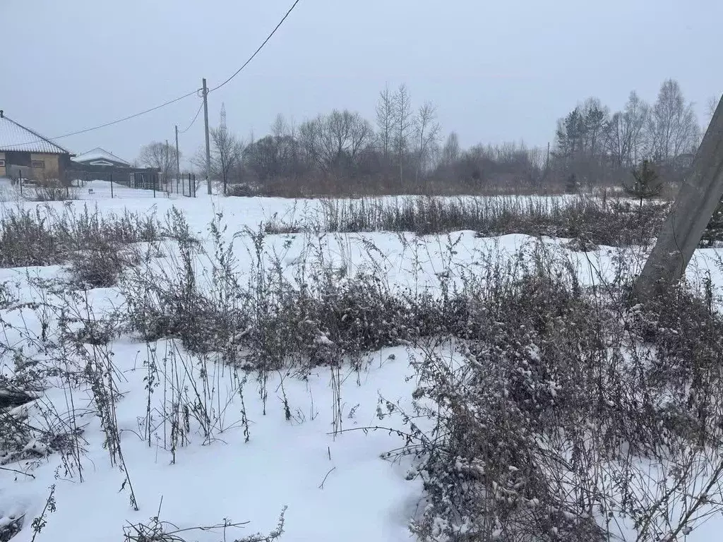 Участок в Амурская область, Благовещенский район, с. Чигири ул. ... - Фото 1