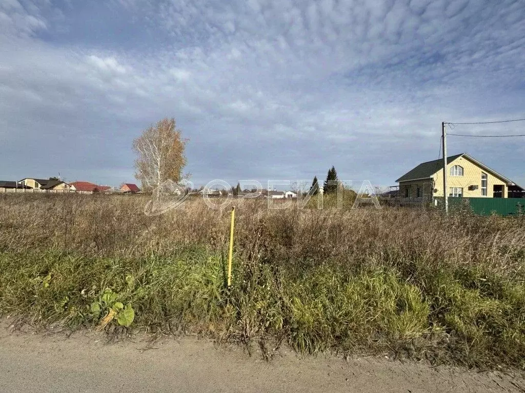 Участок в Тюменская область, Тюменский муниципальный округ, с. ... - Фото 1