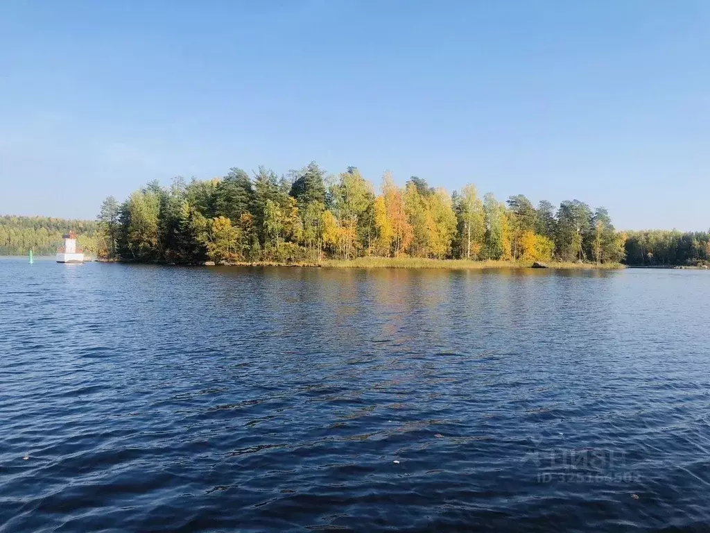 Участок в Ленинградская область, Выборгский район, Селезневское с/пос, ... - Фото 1