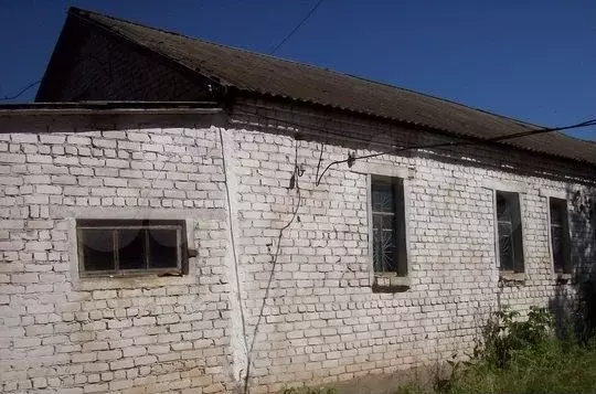 Сдается в аренду здание Жирновский район, село Медведица - Фото 1