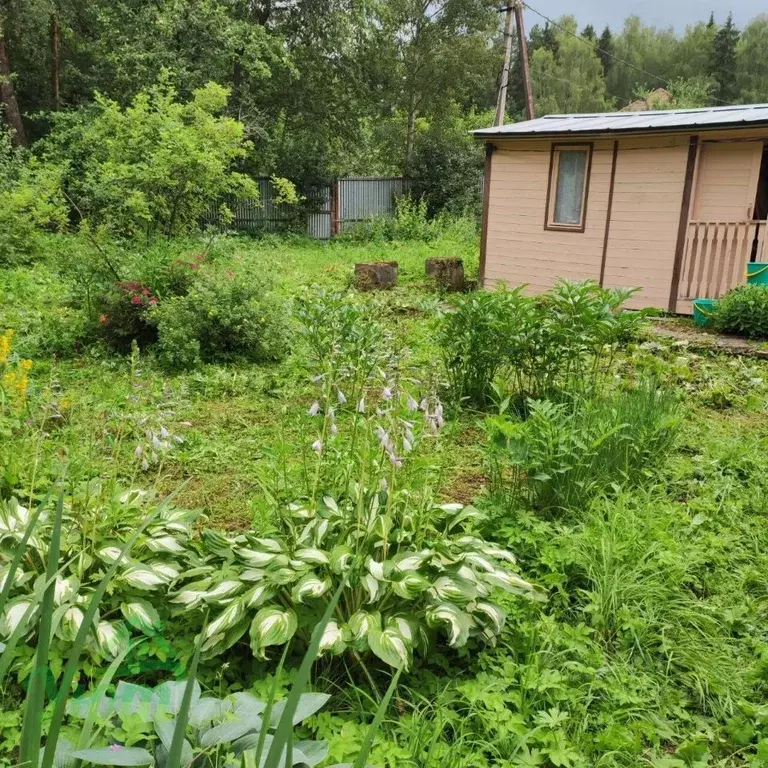 Дом в Московская область, Одинцовский городской округ, Вязы СНТ 101 ... - Фото 2