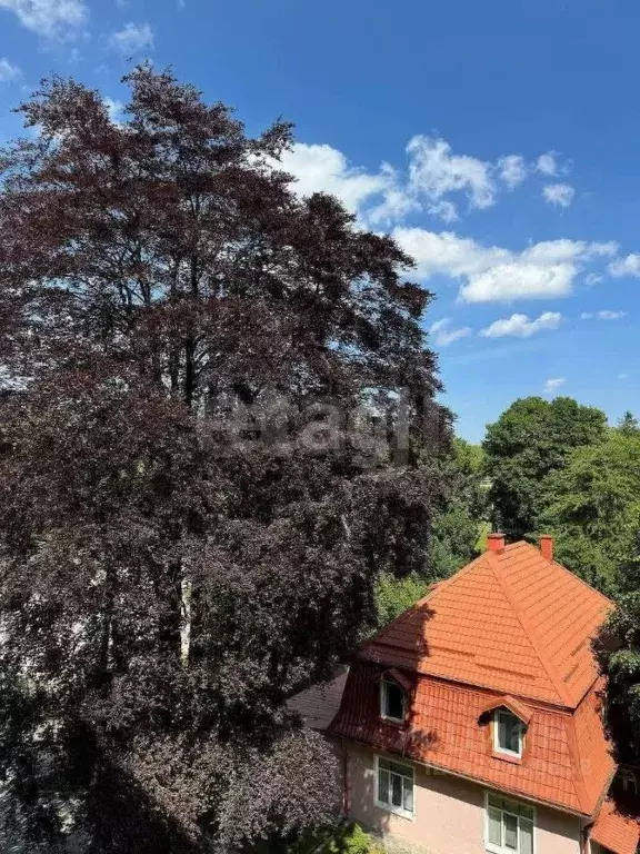 2-к кв. Калининградская область, Светлогорск пос. Отрадное, просп. ... - Фото 1