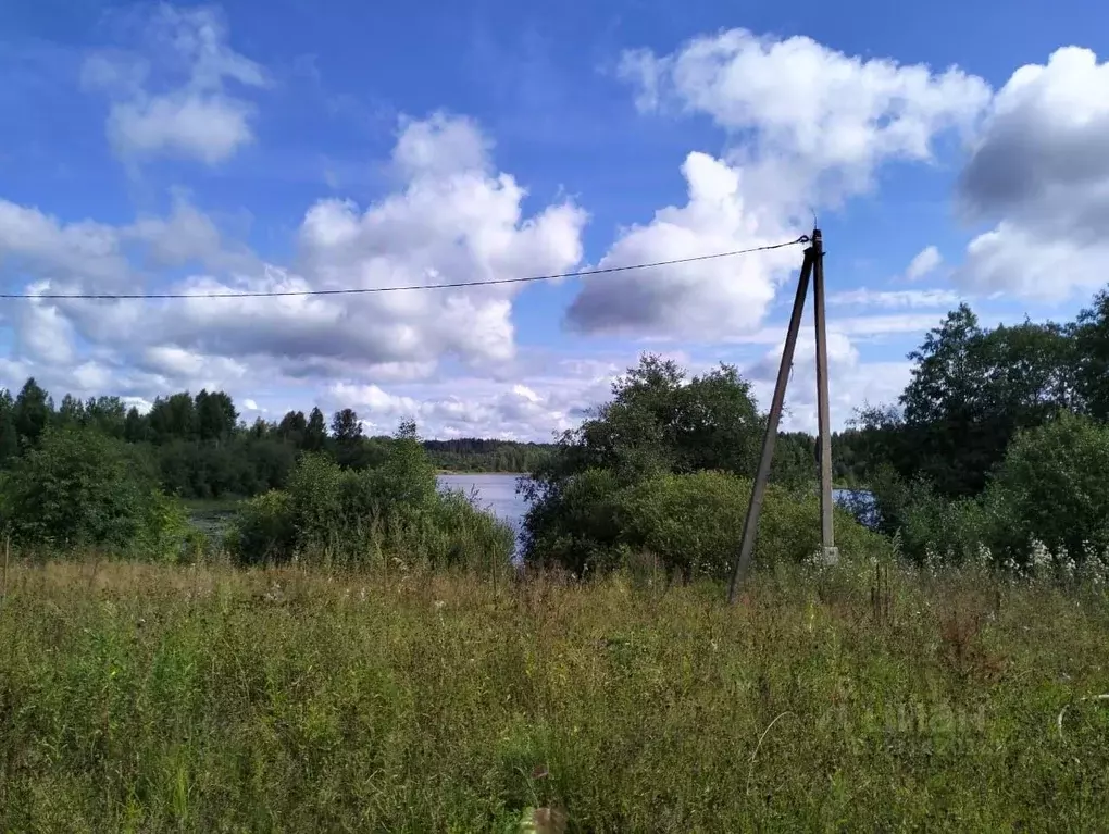 Дом в Новгородская область, Крестецкий муниципальный округ, д. Еваничи ... - Фото 2