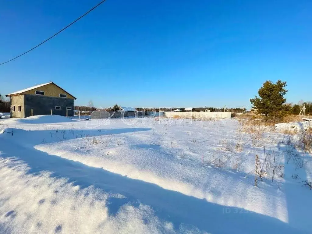 Участок в Тюменская область, Нижнетавдинский муниципальный округ, с. ... - Фото 1