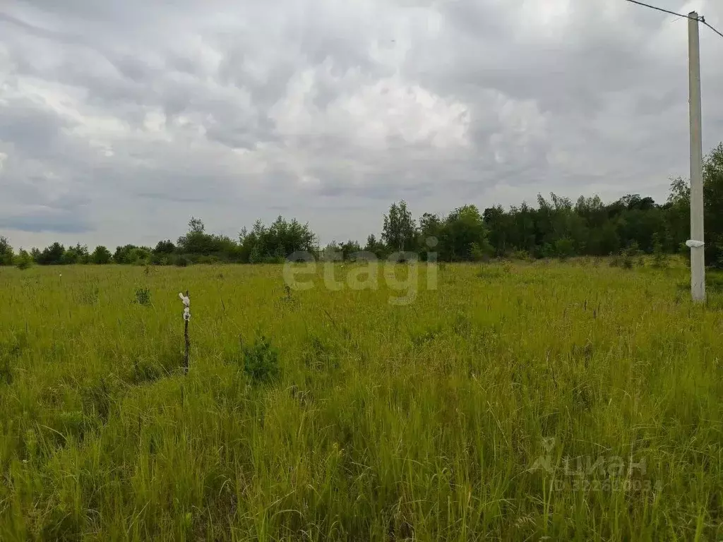 Участок в Воронежская область, Рамонский район, Айдаровское с/пос, ... - Фото 1