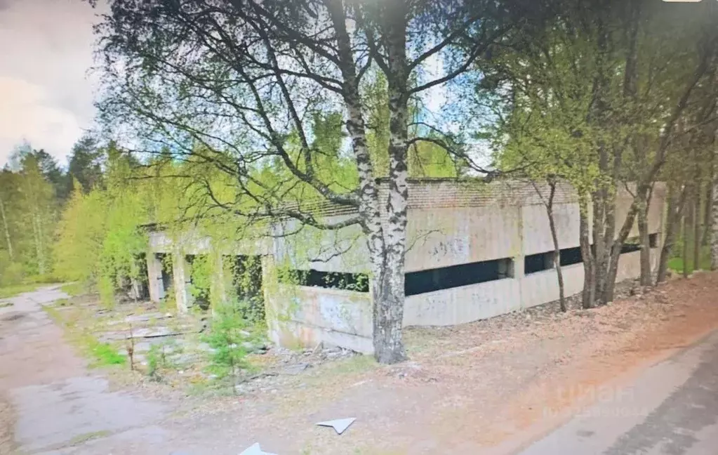 Помещение свободного назначения в Ленинградская область, Приозерский ... - Фото 1