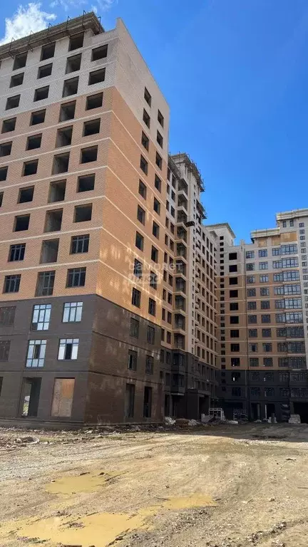 Студия Дагестан, Махачкала ул. Маковая, 2к6 (38.0 м) - Фото 2