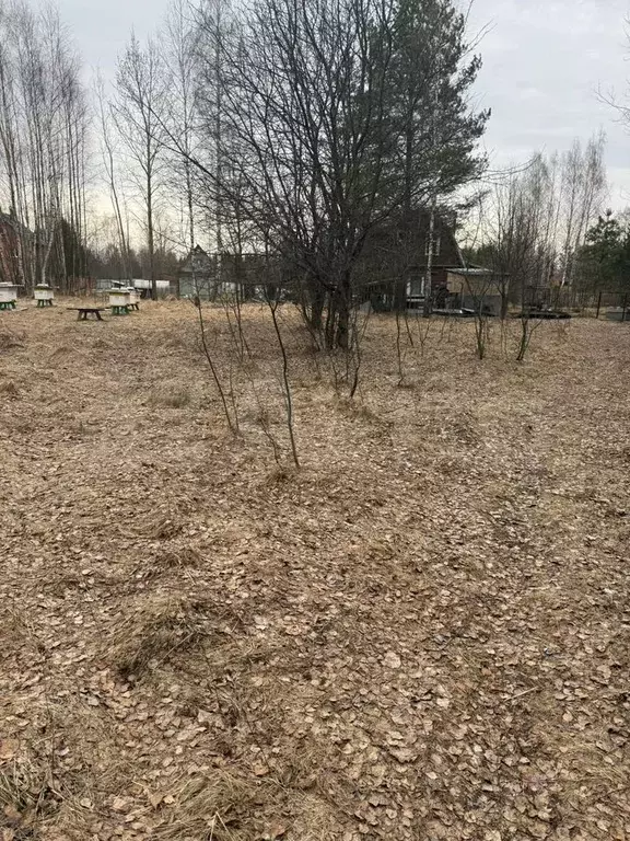 Участок 15 сот. (ИЖС) - Фото 0