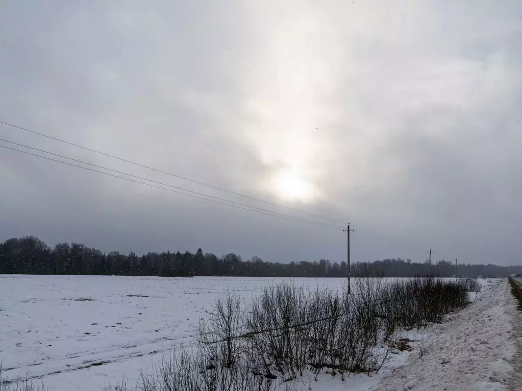 Участок в Московская область, Шаховская городской округ, с. Белая ... - Фото 0