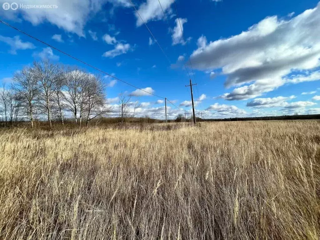 Участок в Тульская область, городской округ Тула, село Фёдоровка (15 ... - Фото 1