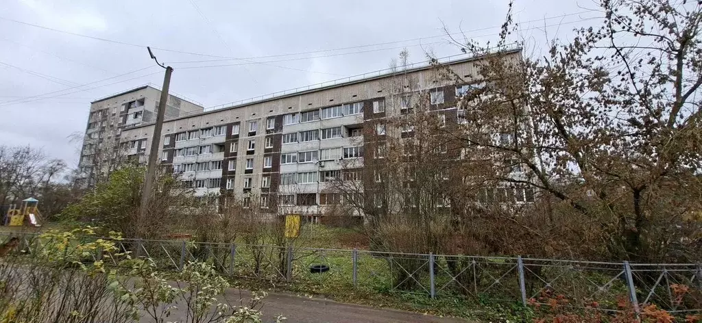 3-к кв. Ленинградская область, Луга ул. Миккели, 1к3 (70.0 м) - Фото 1