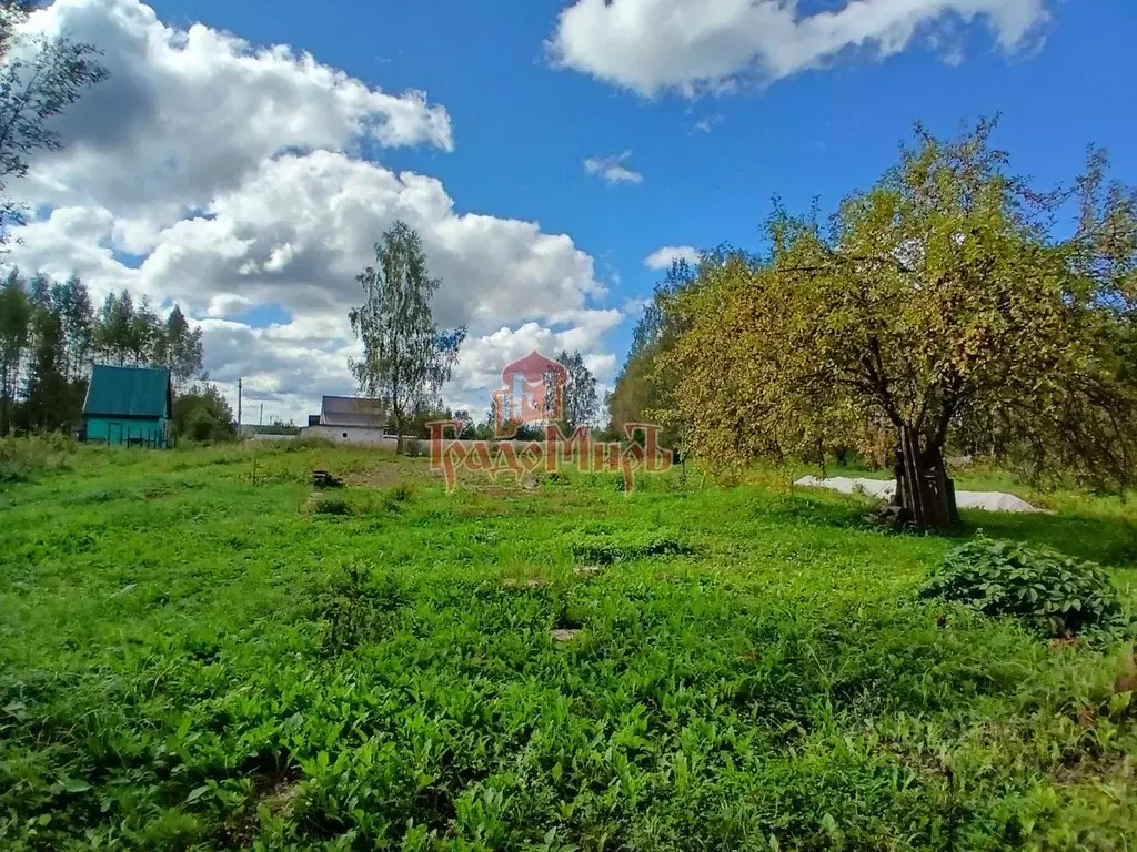 Участок в Владимирская область, Александров Искож-1 СНТ, 6 (12.0 сот.) - Фото 0