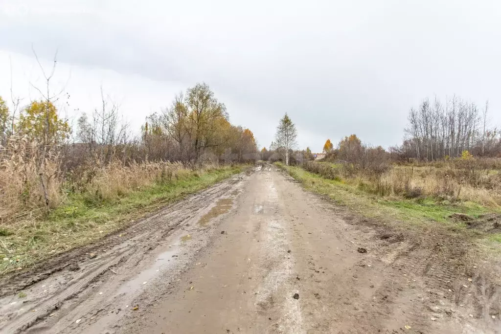 Участок в Тобольск, Вертолётный переулок (8 м) - Фото 0