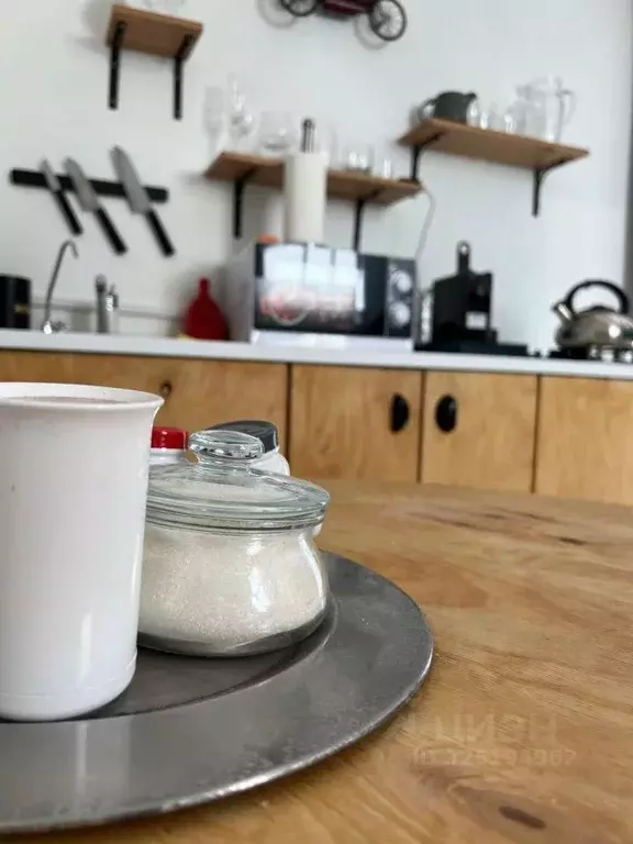 Дом в Алтай, Турочакский район, с. Артыбаш Телецкая ул. (38 м) - Фото 2