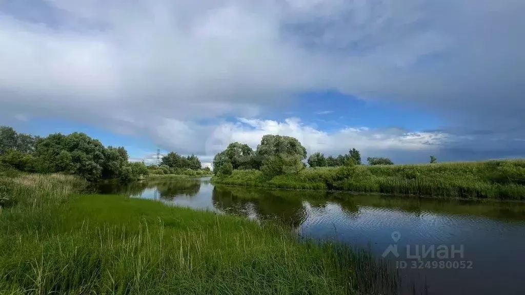 Участок в Ярославская область, Ярославский муниципальный округ, ... - Фото 0