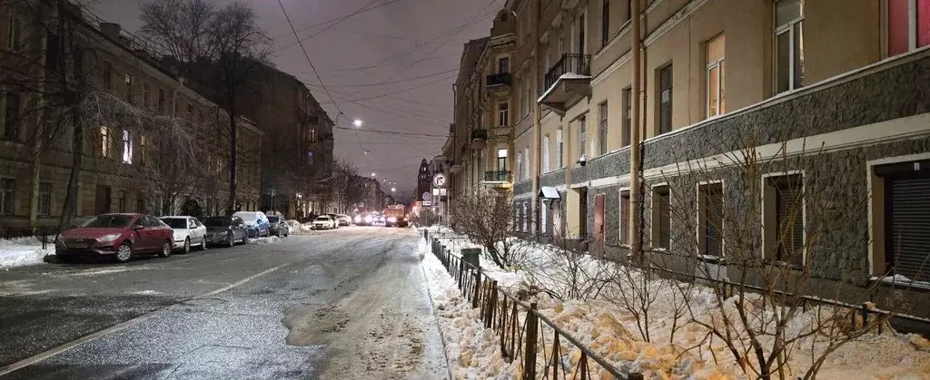 2-к кв. Санкт-Петербург Английский просп., 58 (51.6 м) - Фото 2