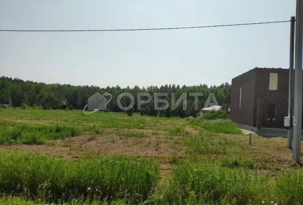 Участок в Тюменская область, Нижнетавдинский район, с. Тюнево ул. ... - Фото 0