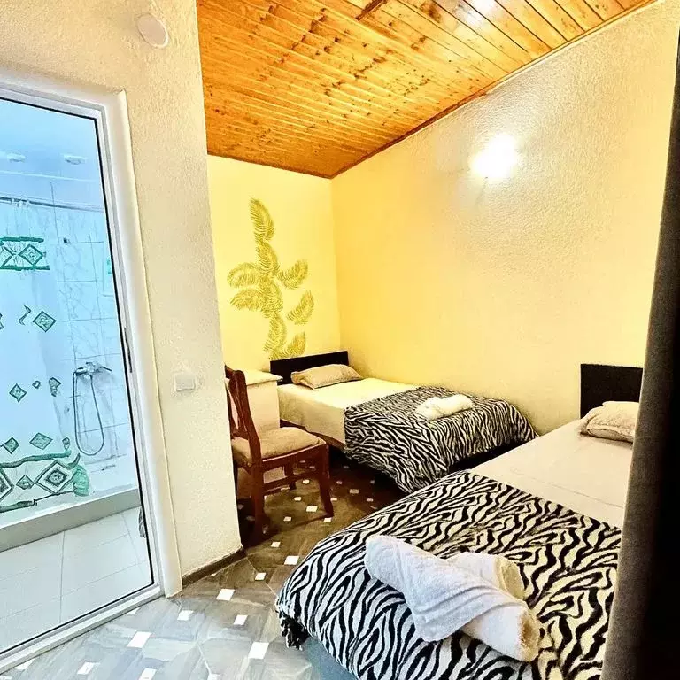 Комната Краснодарский край, Сочи Магнитогорская ул., 13/34 - Фото 1