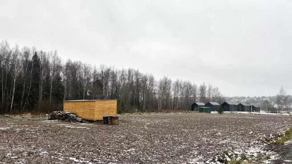 Участок в Московская область, Пушкинский городской округ, Софрино пгт ... - Фото 1