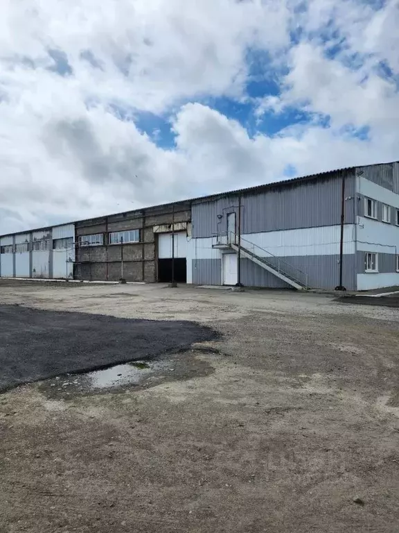 Помещение свободного назначения в Алтайский край, Барнаул Звездная ... - Фото 0